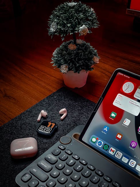 Camera Basics: A Comparison Guide for Newbies